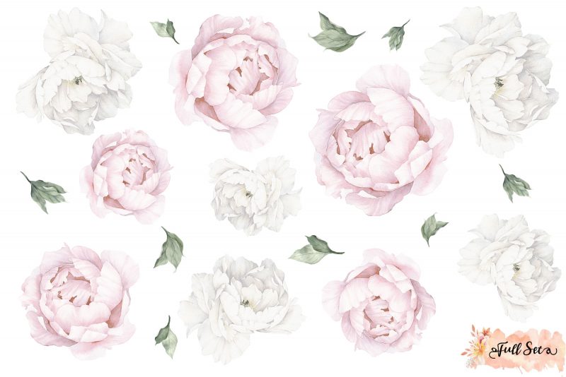 Pink and White Peony Wall Decals