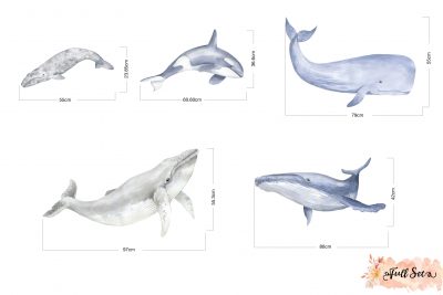 Watercolour Whale Decal Set