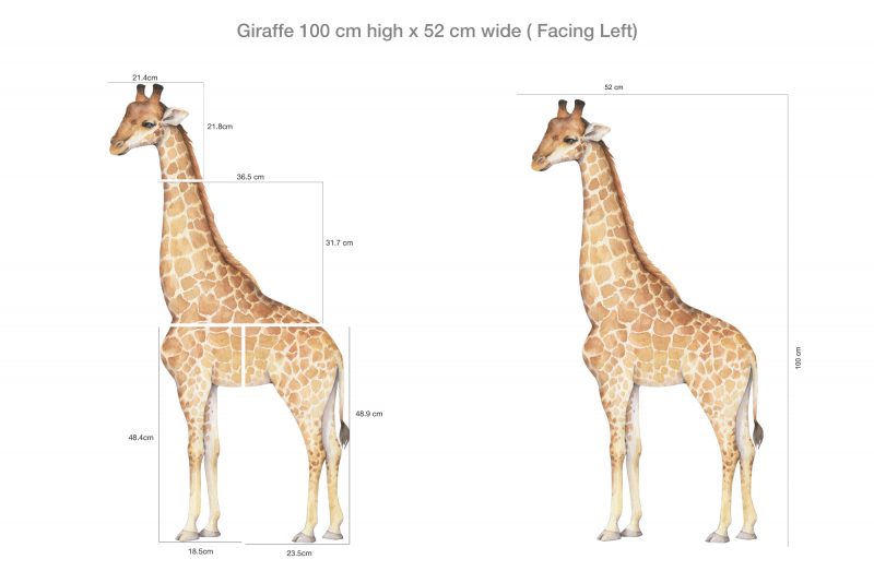 Giraffe Wall Decal Set