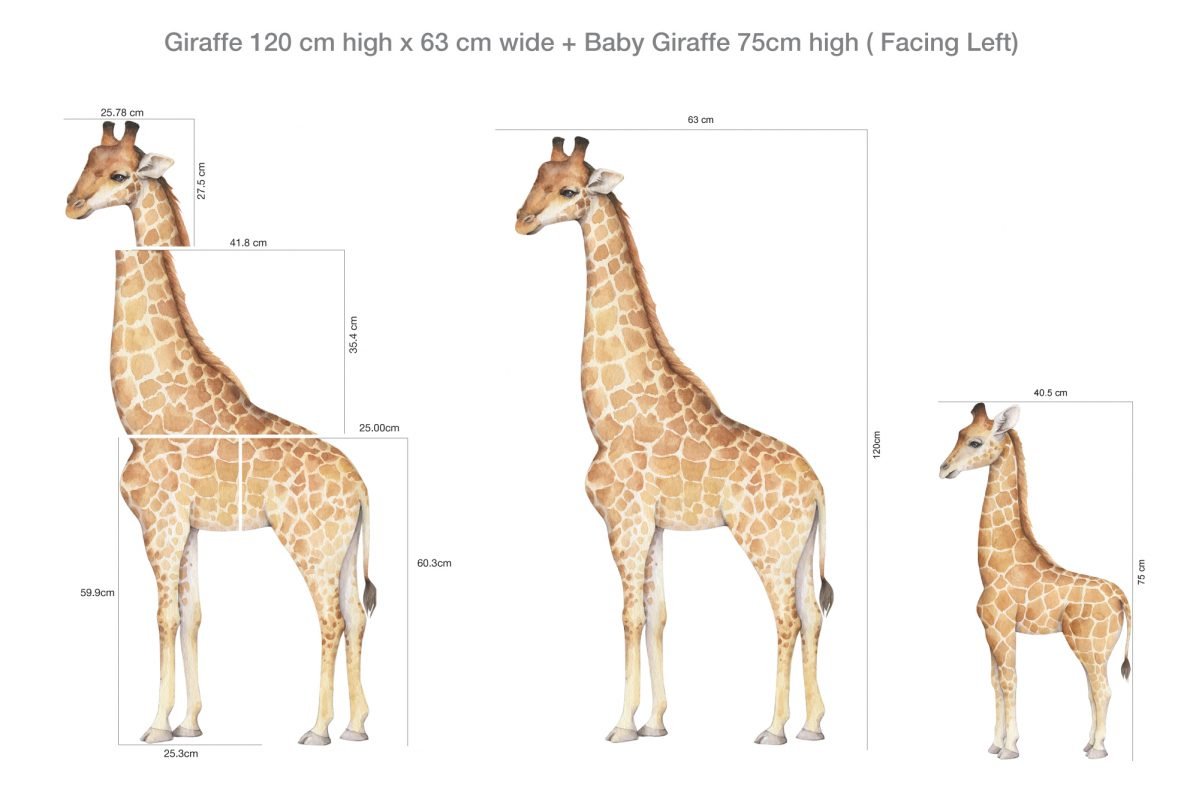 Giraffe Wall Decal Set - Removable Wallpapers, Wall Stickers & Wall ...