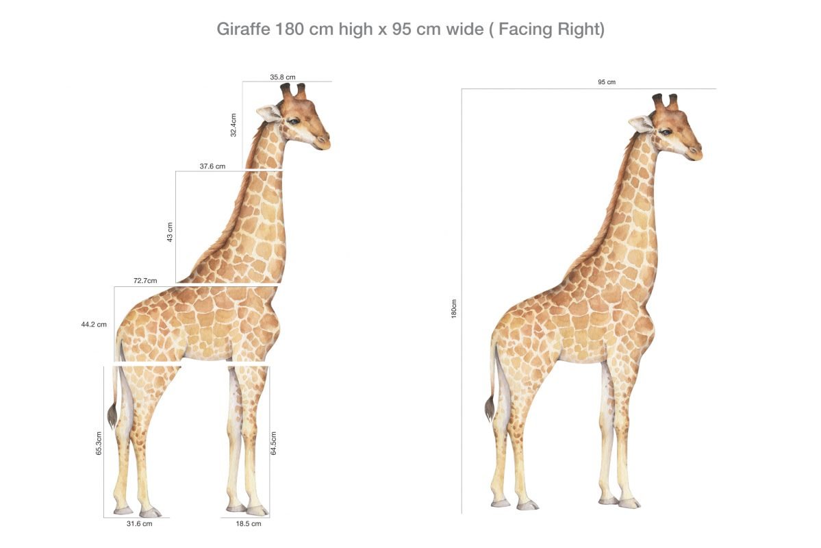 Giraffe Wall Decal Set - Removable Wallpapers, Wall Stickers & Wall ...