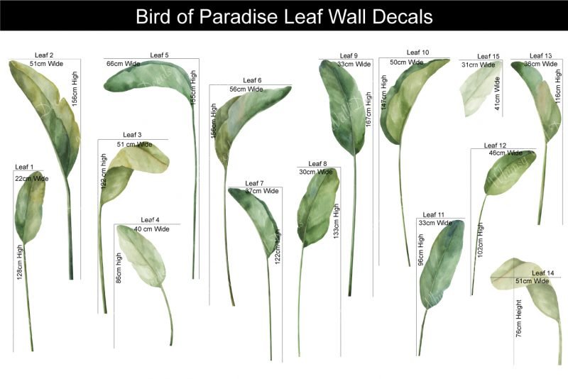 Bird-of-Paradise-Leaf-Wall-Decals_Sizes