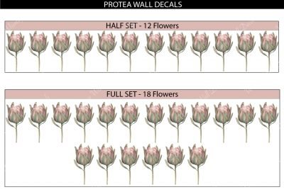 Protea-Wall-Decals_Set-files