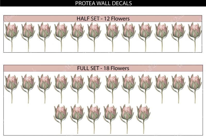 Protea-Wall-Decals_Set-files