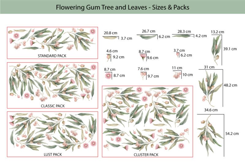 Flowering-Gum-Tree-and-Leaves-Sizes-&-Packs