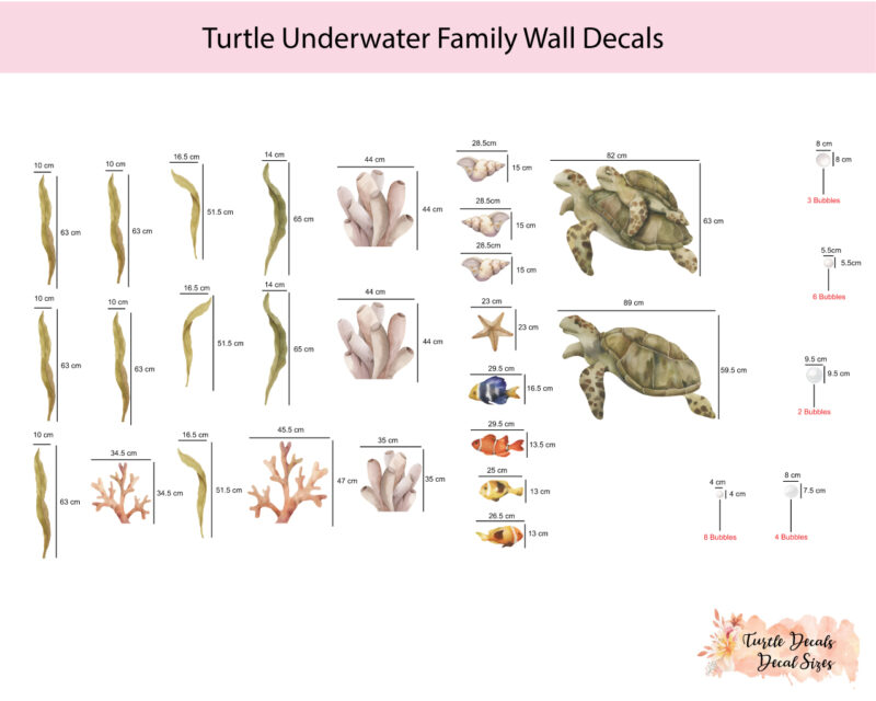 Turtle-Family-sizes